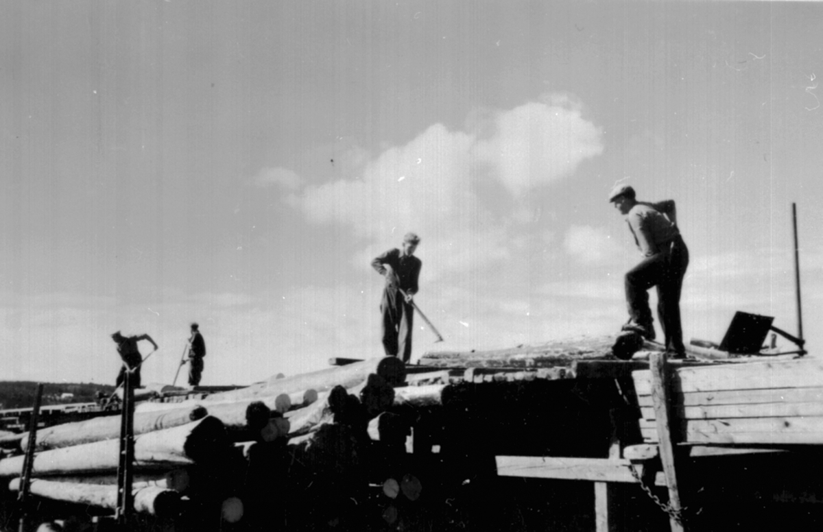 4 menn laster av tømmer på Strandsaga, Berger Langmoen A/S, Brumunddal.
