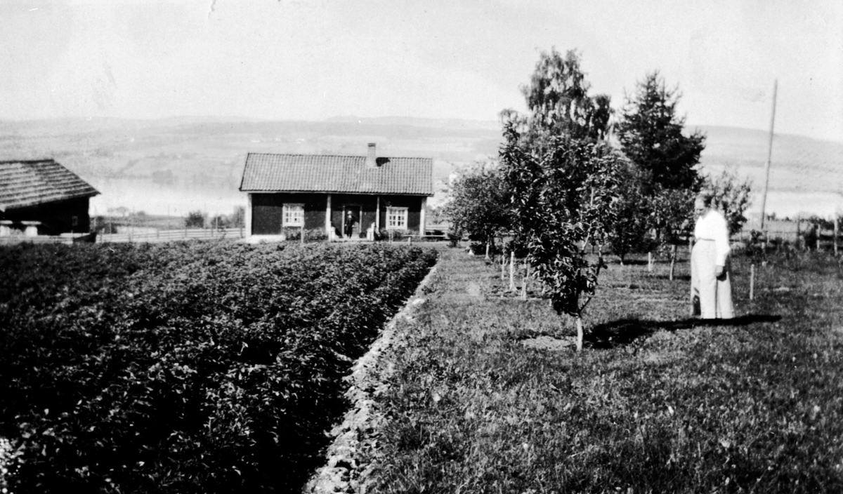 Anne Mathilde Pedersdatter Sterud (1864-1932) ovafor Grindvolla, Helgøya. Hun var gift med Konrad Sterud (1864-1931) som var arbeidsleder ved Toftes Gave.
