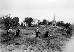 Tre menn i arbeid med våronn på åkern på Ringsaker prestegar
