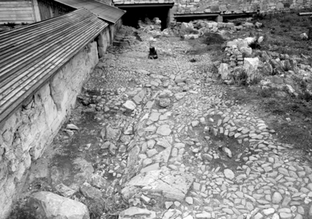 Arkeologiske undersøkelser i Hamar bispegård, Domkirkeodden, Hamar 1955. Oversikt over brolegningen i borggården langs med sydfløyen P.