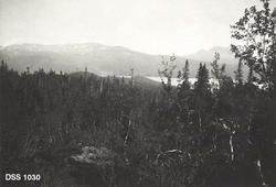 "Fra Hattfjelldal statsskoger. Fra Røsvassholmen nasjonalpar