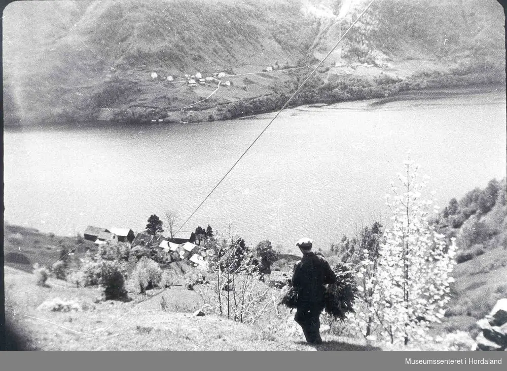 Havrå.Løypestreng. mann. klyngjetun. fjord. Nokre gardar i bakgrunnen. bratte lier. nokre tre.