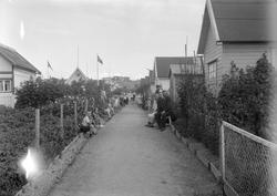 Kolonihagen på Lerkendal