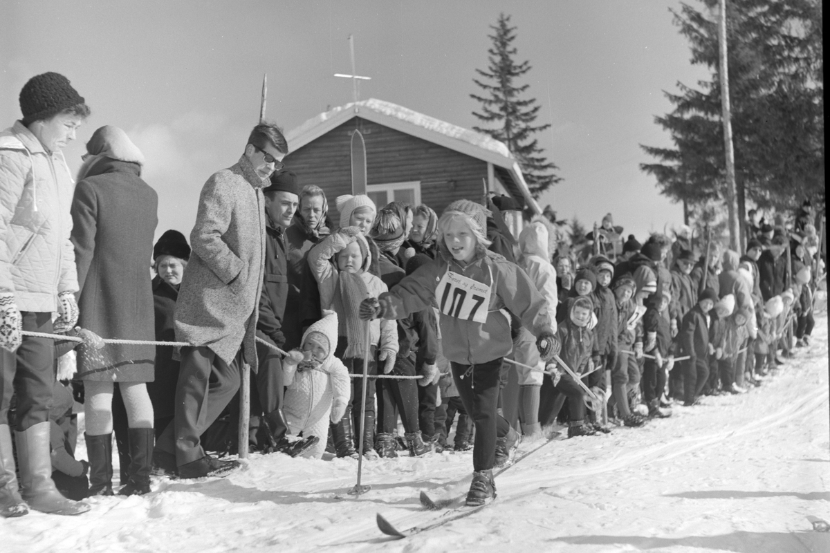 Pellervikrennet, barneskirenn, Brumunddal, 10. 03. 1968. 
Det var påmeldt 361 deltagere i Pellervikrennet i 1968. 40 funksjonærer var i virksomhet. Alle ble premiert. 