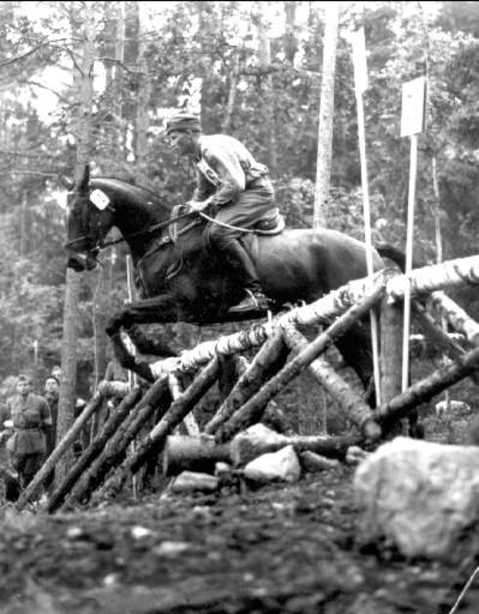Vid  XVI olympiadens hästtävlingar i Stockholm 1956 vann sergeanten Petrus Kastenman guldmedaljen i fälttävlan med Iluster, fallen efter Tokajer- Taxinge i **. Antalet startande var 59 st varav 44 st kvarstod till slutprovet i hoppning. Iluster var uppfödd vid Ottenby kungsgård av disponent Åsenius. Efter segern förordnade chefen för armen att Illuster skulle tilldelas Livregementets husarer, utöver det ordinarie antalet stamhästar, samt tilldelas sergeant Kasterman så som tjänstehäst, Iluster som var född 1948, levde till 15/6- 1960.