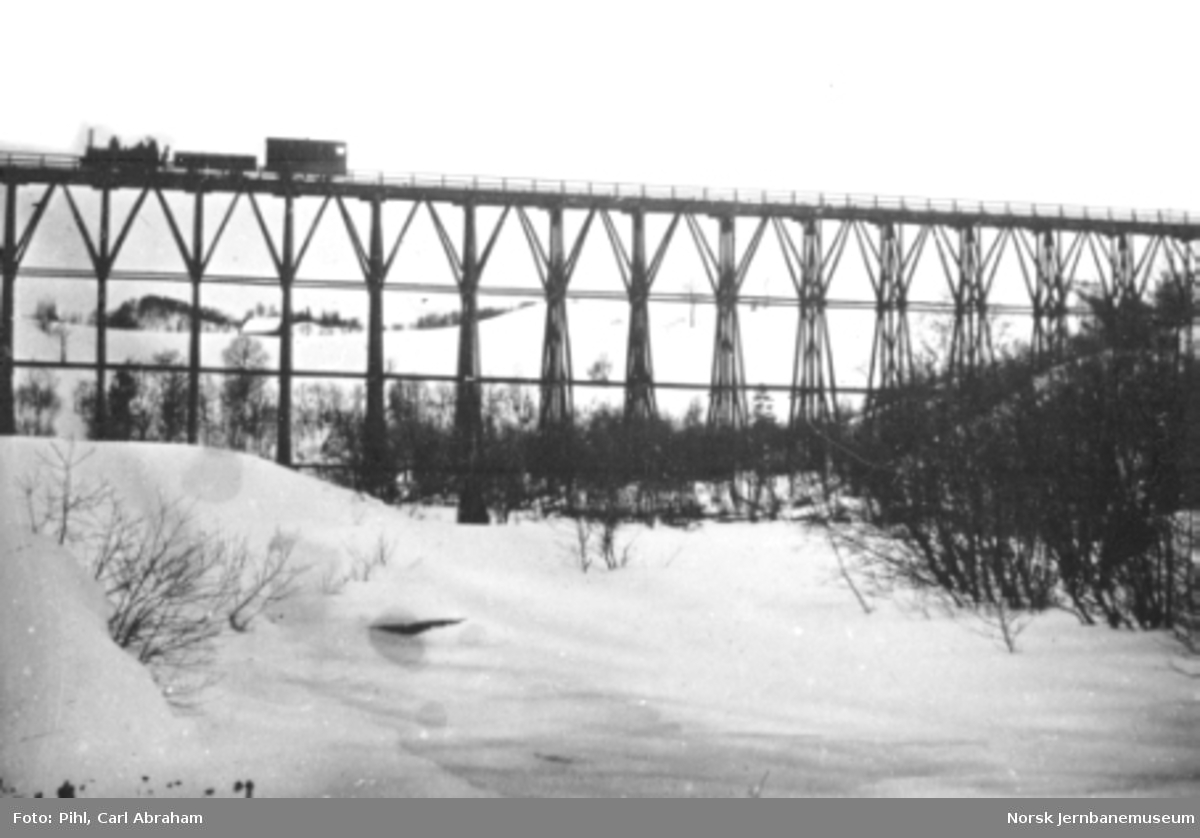 Selsbakk viadukt, sett fra landevegen