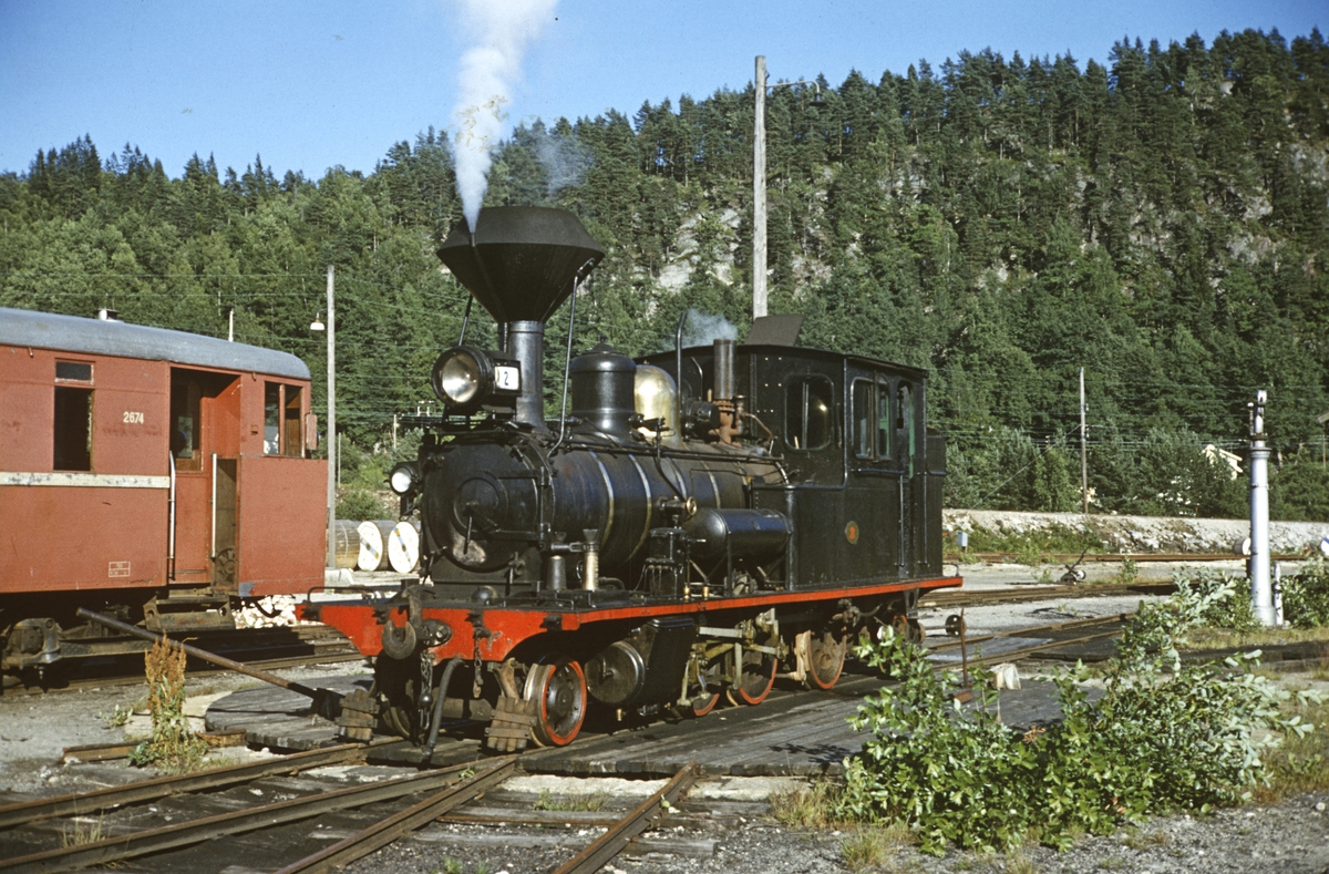 Setesdalsbanens damplok nr. 2 og motorvogn 2674.