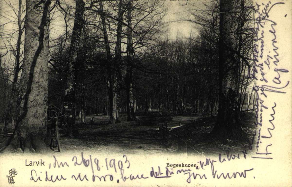 Postkort. Fra Bøkeskogen i Larvik. Stemplet 27.08.1903