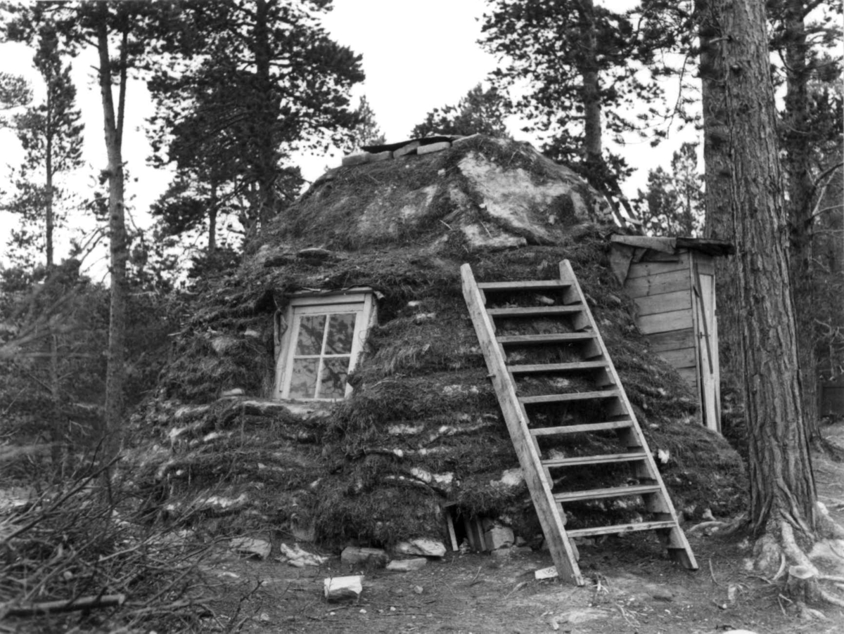Oluf Blinds gamme med vinfu og utvendig stige, gammen ligger i nærheten av hotellet Saltfjell. Saltfjell 1956.