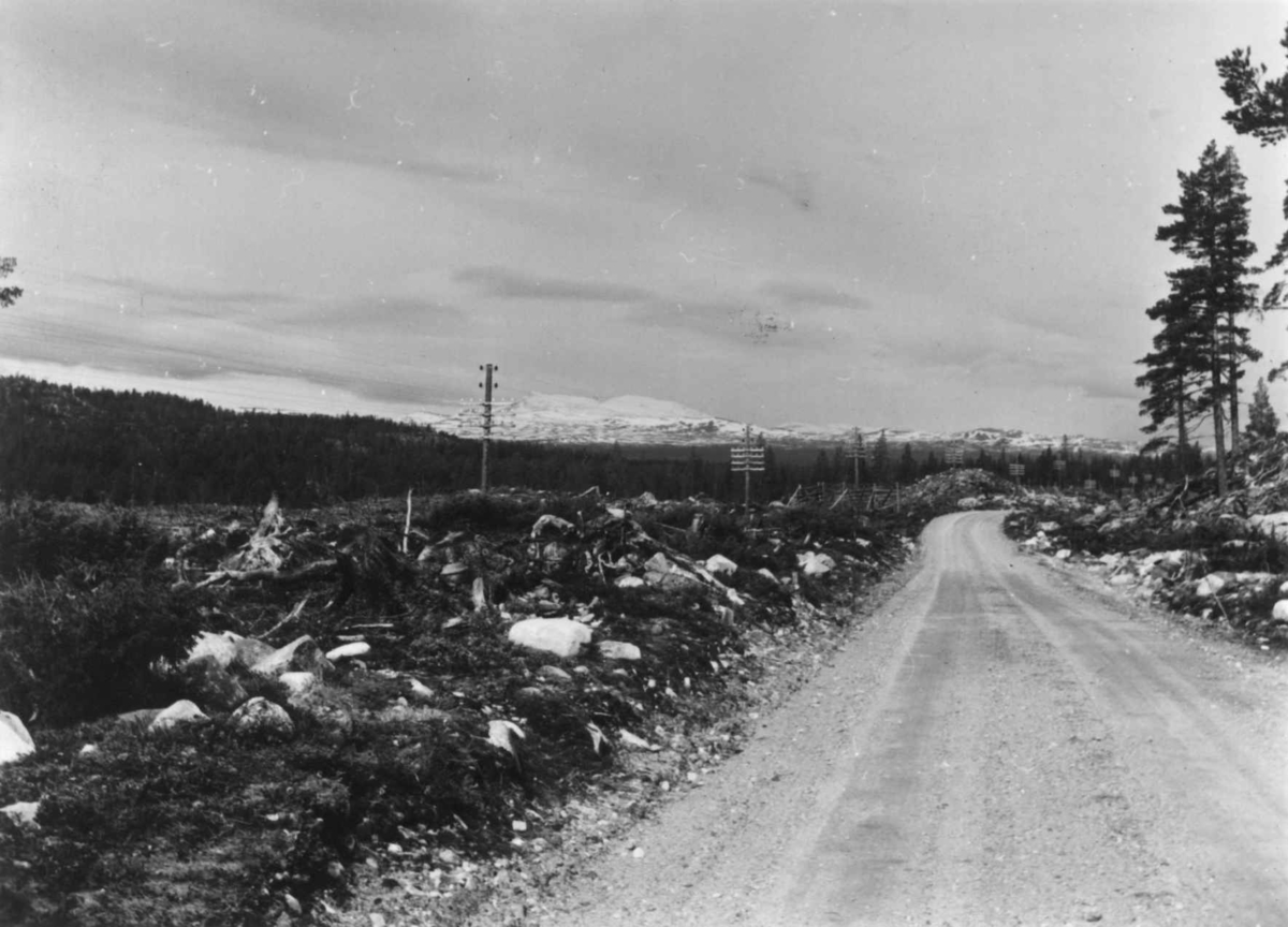 Oversiktbilde med mellomriksveien i Elgå, 1961.