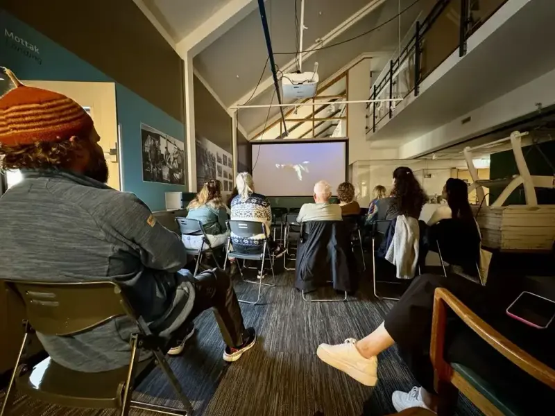 Filmkveld